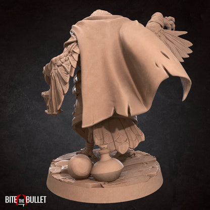 Kenku Sister Jen | TABLETOP SCALE | D&D TTRPG Miniature | Bite the Bullet | Unpainted, Unplated Resin 8k