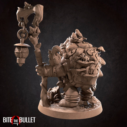 Tortle Druid | TTRPG Miniature | Bite the Bullet | Unpainted, Unplated Resin 8k