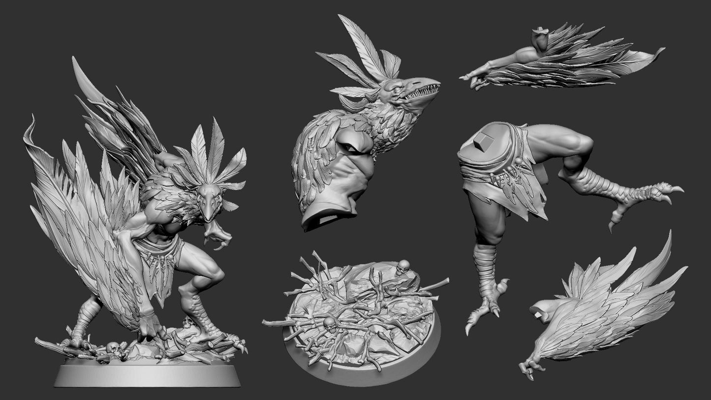 Aarakocra Monster | TABLETOP SCALE | D&D TTRPG Miniature | White Werewolf Tavern