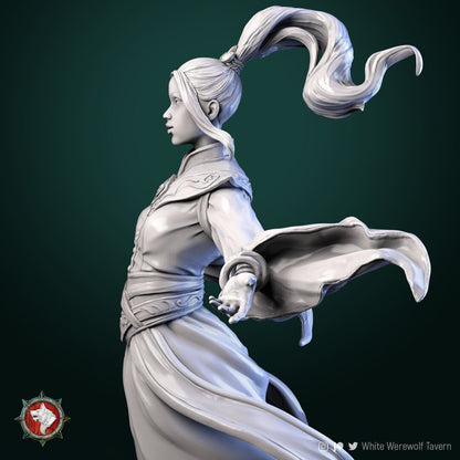 Air Master | TABLETOP SCALE | TTRPG Miniature | White Werewolf Tavern | Unpainted, Unplated Resin 8k