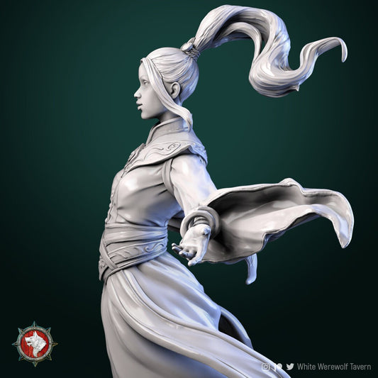 Air Master | TABLETOP SCALE | TTRPG Miniature | White Werewolf Tavern | Unpainted, Unplated Resin 8k