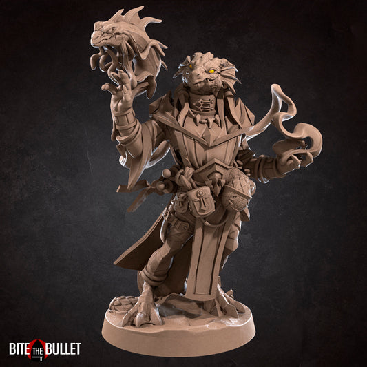 Dragonborn Wizard | TABLETOP SCALE | D&D TTRPG Miniature | Bite the Bullet