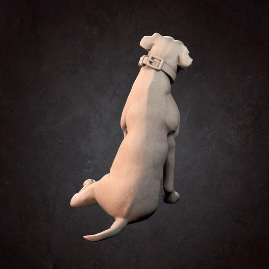 Boxer | D&D TTRPG Miniature | Bite the Bullet