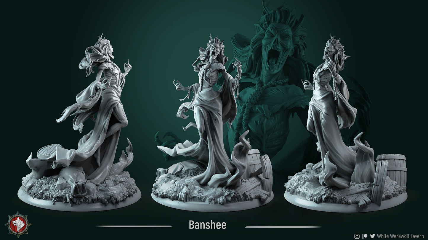 Carmela the Nightqueen Banshee | Gaming or Display Miniature | White Werewolf Tavern