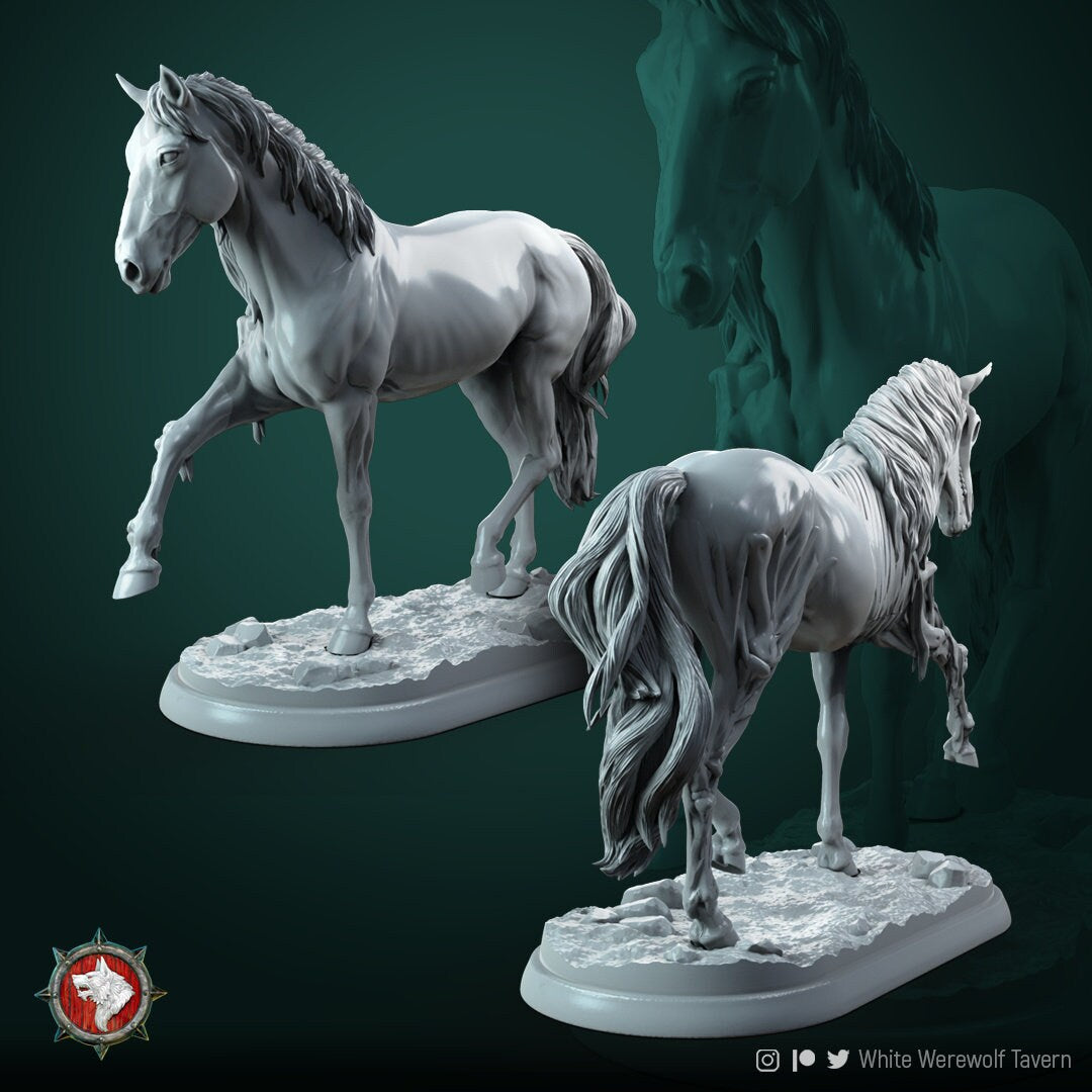 Ghost Horse | TABLETOP SCALE | D&D TTRPG Miniature | White Werewolf Tavern
