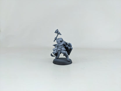 Lionfolk Collection | TTRPG D&D Miniature | Manuel Boria