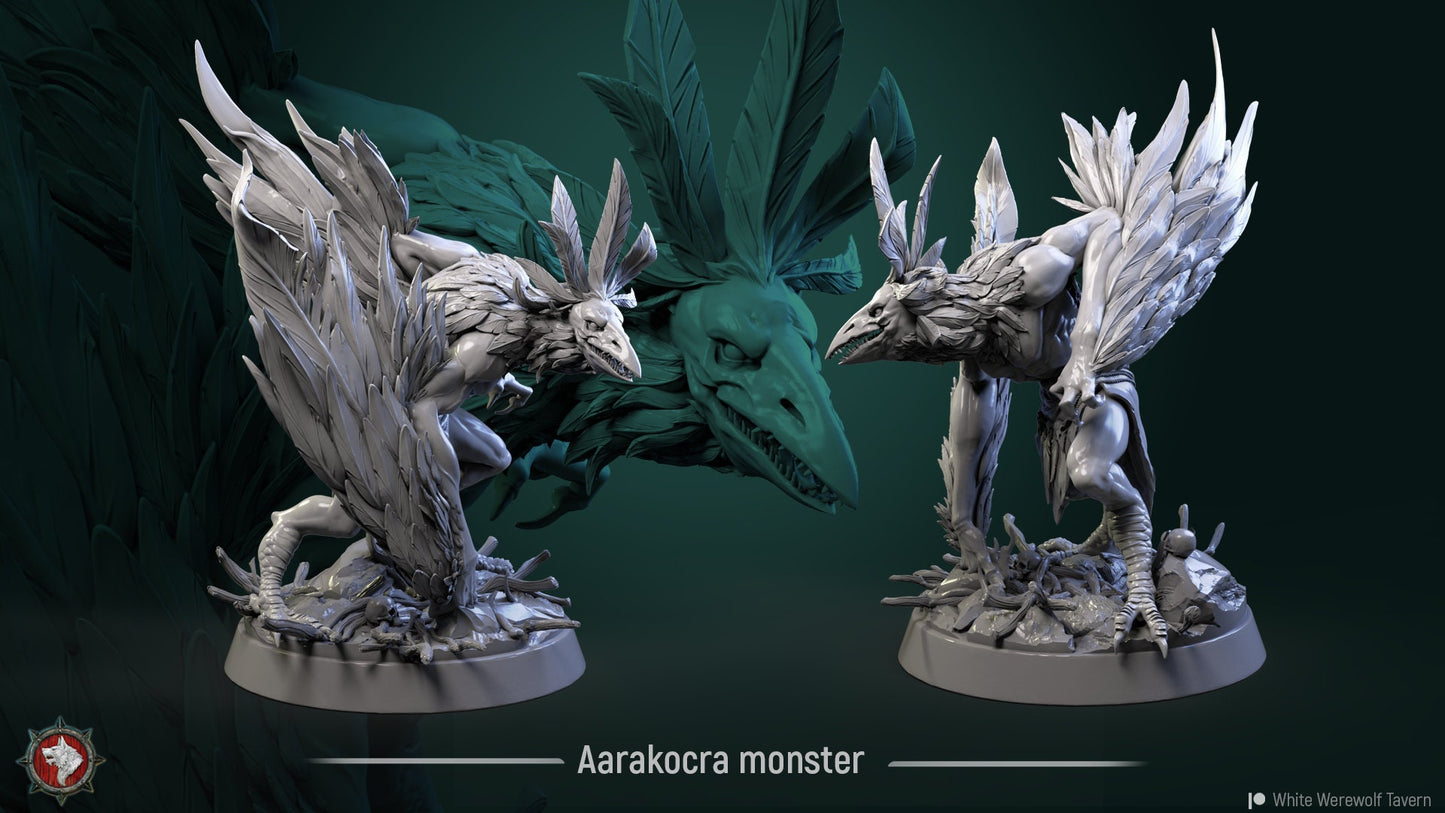 Aarakocra Monster | TABLETOP SCALE | D&D TTRPG Miniature | White Werewolf Tavern