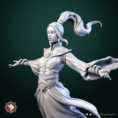 Air Master | TABLETOP SCALE | TTRPG Miniature | White Werewolf Tavern | Unpainted, Unplated Resin 8k