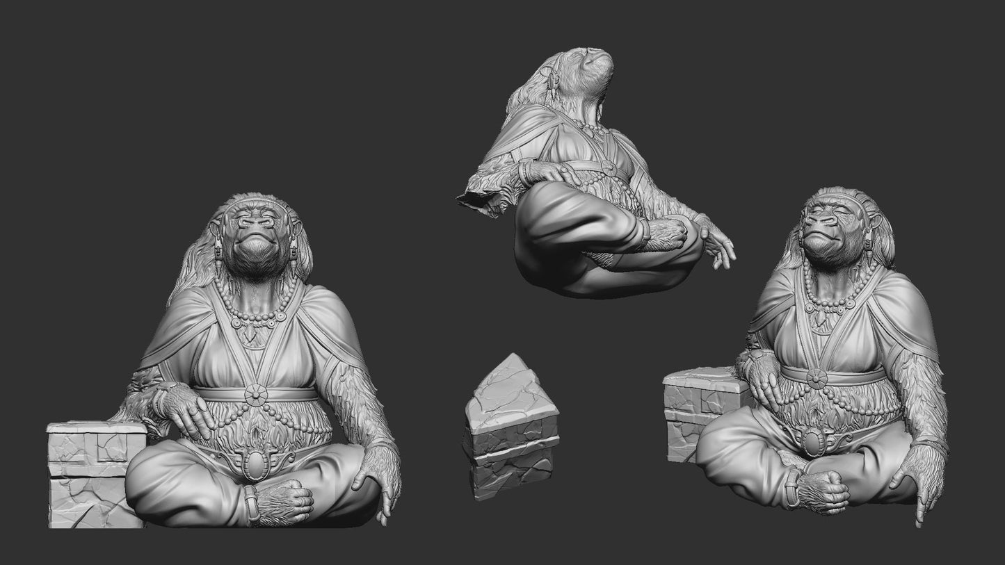 Monkey Kings Wife | TTRPG Miniature | White Werewolf Tavern | Unpainted, Unplated Resin 8k