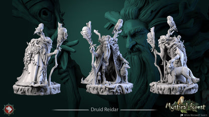 Druid Reidar | TTRPG Miniature | White Werewolf Tavern | Unpainted, Unplated Resin 8k