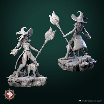 Witch 2022 | TTRPG Miniature | White Werewolf Tavern | Unpainted, Unplated Resin 8k
