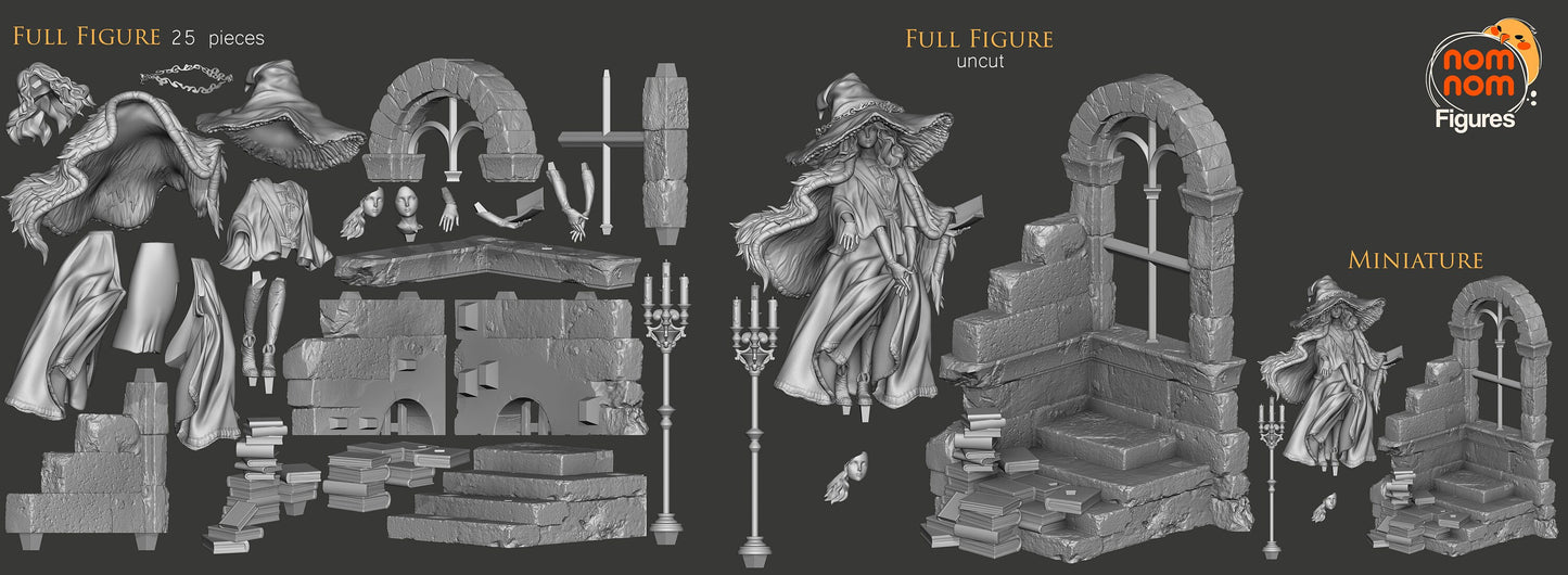 Two-Faced Witch | Resin Garage Kit Figure Video Game Fan Art | Nomnom Figures