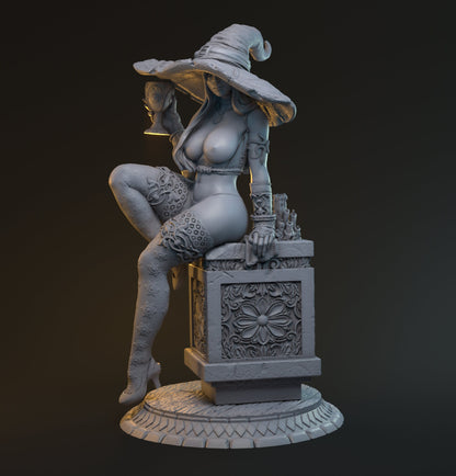 Merlin, Human Wizard Female | D&D TTRPG Miniature | Hardwitch Games