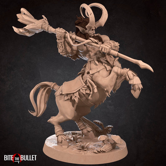 Centaur Druid | TABLETOP SCALE | D&D TTRPG Miniature | Bite the Bullet | Unpainted, Unplated Resin 8k
