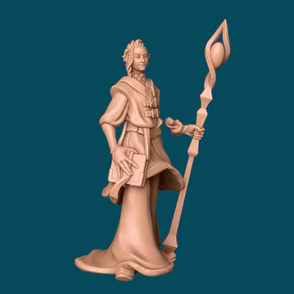 Tylo, a One-Armed Mage | D&D TTRPG Miniature | Awkward Penguin Minis