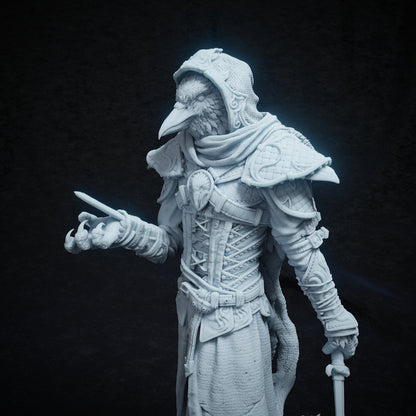 Corvo Baltar, Kenku Aarakocra Rogue Assassin | Tabletop, Display Scale, Bust | TTRPG D&D Miniature | Cripta Studios