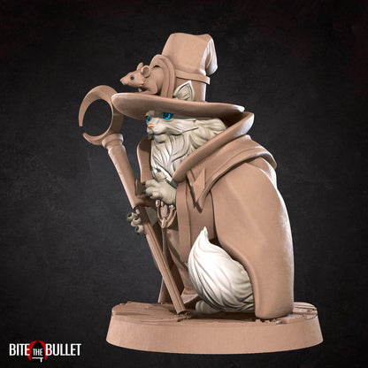 Cat Wizard | TABLETOP SCALE | TTRPG Miniature | Bite the Bullet | Unpainted, Unplated Resin 8k