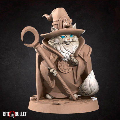 Cat Wizard | TABLETOP SCALE | TTRPG Miniature | Bite the Bullet | Unpainted, Unplated Resin 8k