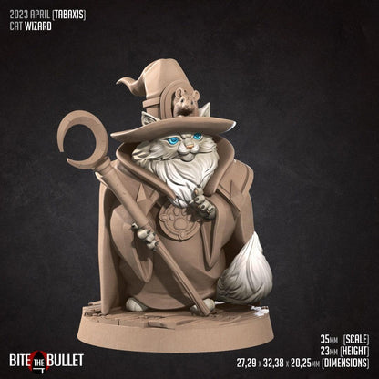 Cat Wizard | TABLETOP SCALE | TTRPG Miniature | Bite the Bullet | Unpainted, Unplated Resin 8k