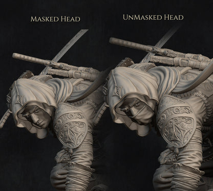 Nasir the Unseen Blade | Garage Resin Kit Statue or Bust | D&D TTRPG Fantasy Miniature | Nerikson