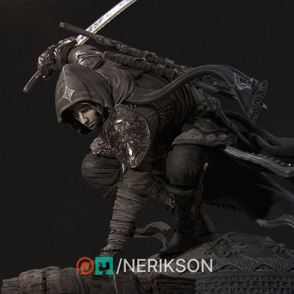 Nasir the Unseen Blade | Garage Resin Kit Statue or Bust | D&D TTRPG Fantasy Miniature | Nerikson