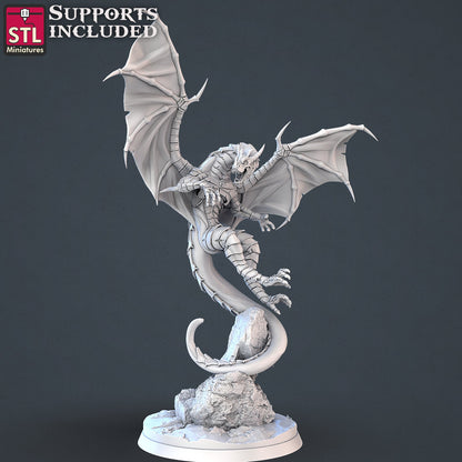 Dragon Hunter NPC Set | Tabletop Scale | D&D TTRPG Miniature | STL Miniatures