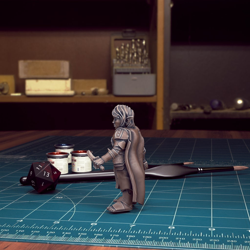 DnD Heroes Gnome Fighters | TABLETOP SCALE | D&D TTRPG Mini | TytanTroll Miniatures