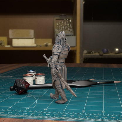 CoS Rahadin | D&D TTRPG Mini | TytanTroll Miniatures