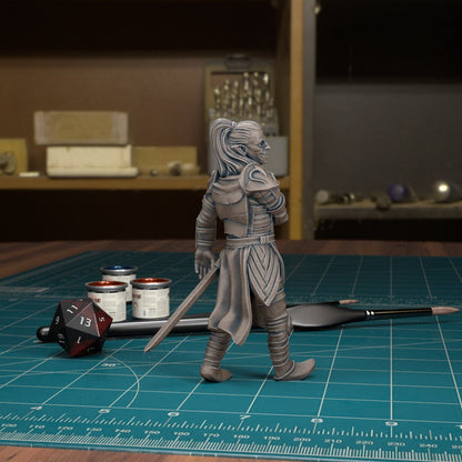 CoS Rahadin | D&D TTRPG Mini | TytanTroll Miniatures