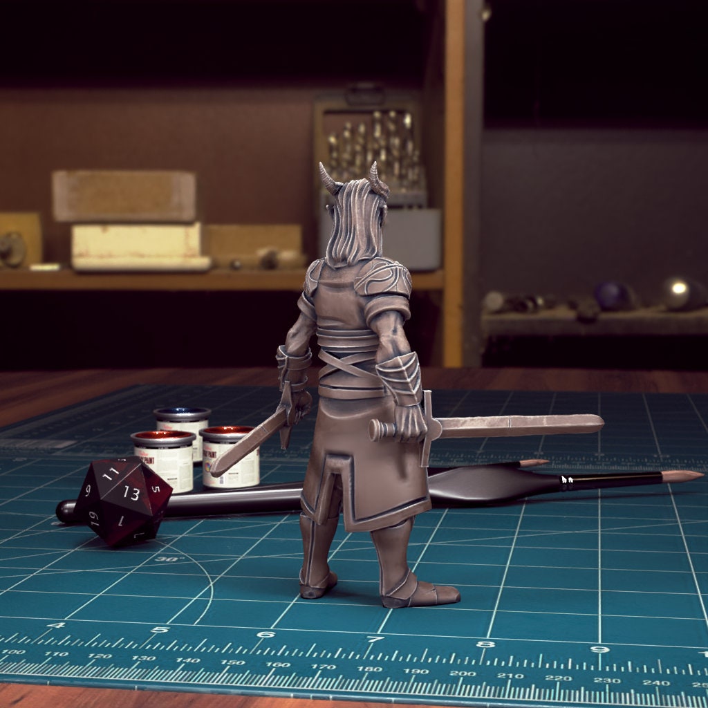 DnD Heroes Tiefling Fighters | TABLETOP SCALE | D&D TTRPG Mini | TytanTroll Miniatures