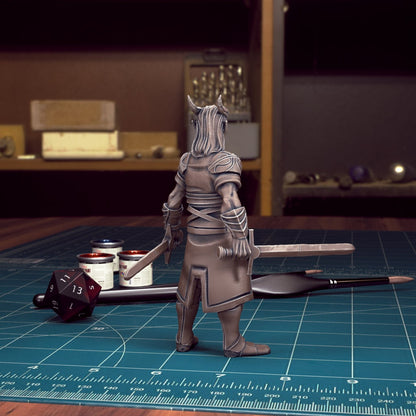 DnD Heroes Tiefling Fighters | TABLETOP SCALE | D&D TTRPG Mini | TytanTroll Miniatures