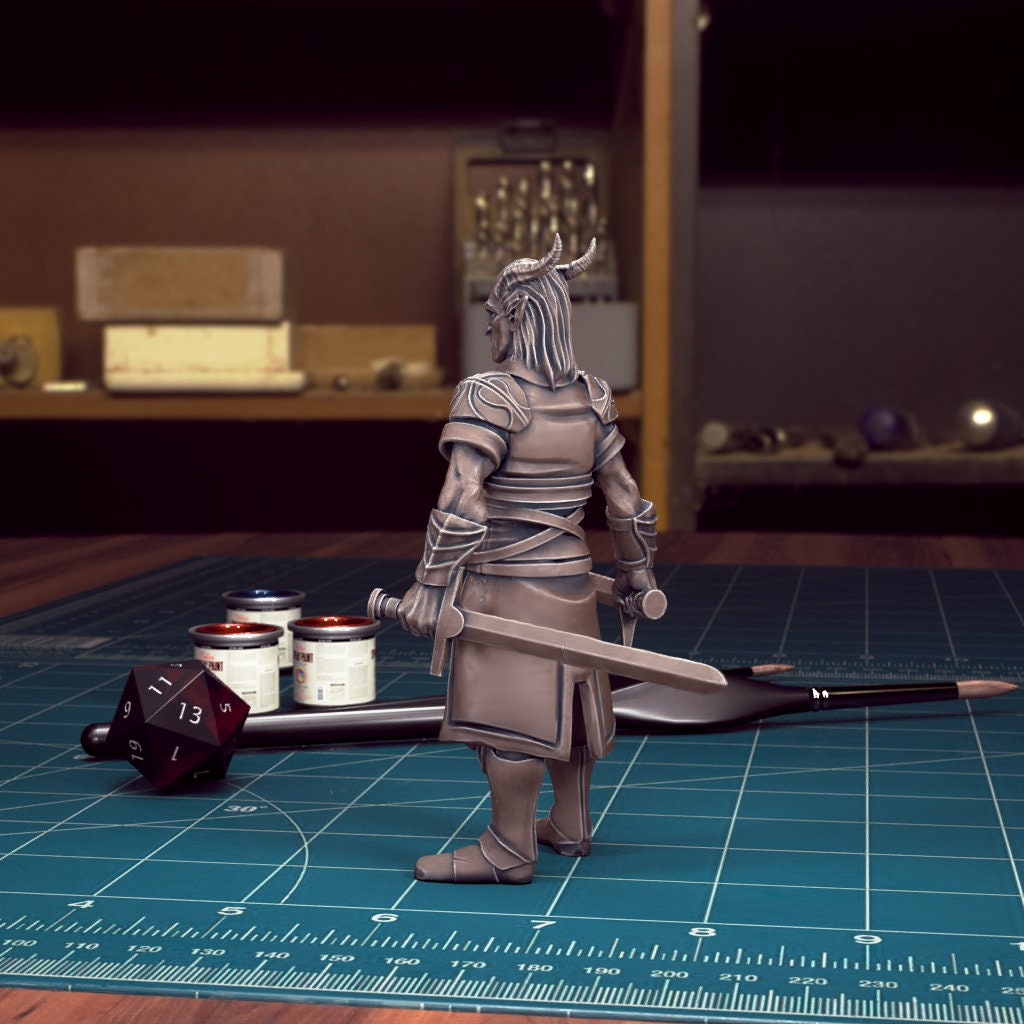 DnD Heroes Tiefling Fighters | TABLETOP SCALE | D&D TTRPG Mini | TytanTroll Miniatures