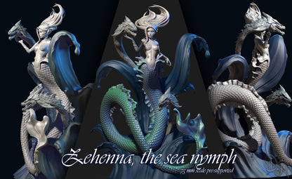 Zehenna, Sea Nymph Mermaid Sea Dragons | DISPLAY SCALE | D&D TTRPG Fantasy Miniature | Dungeons and Maidens