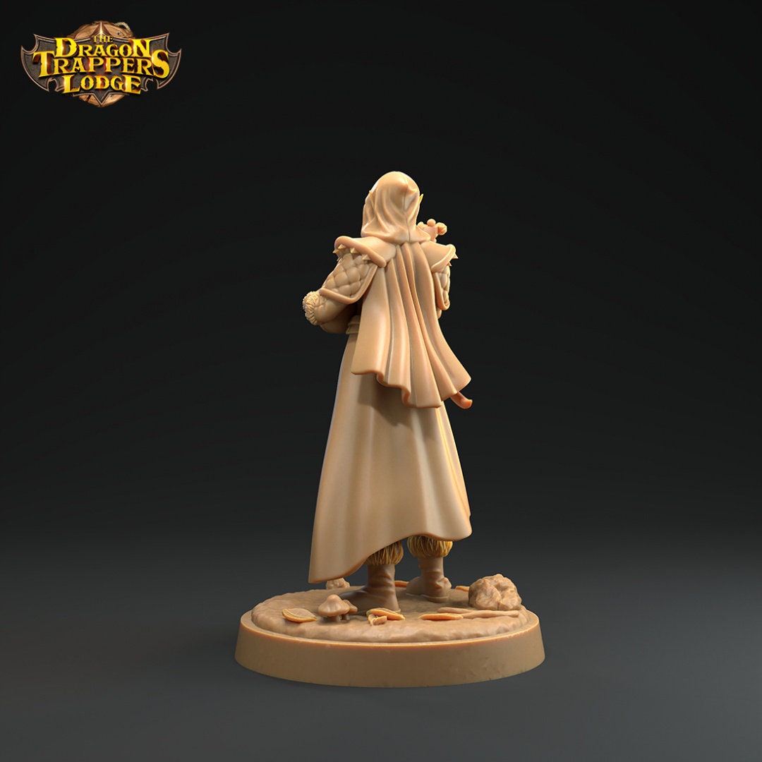Elves, Bard and Rogue | D&D Miniature | The Dragon Trappers Lodge | Unpainted, Unplated Resin 8k