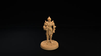 It Was a Mimic All Along! Suits of Armor | D&D Miniature | TABLETOP SCALE | The Dragon Trappers Lodge | Unpainted, Unplated Resin 8k