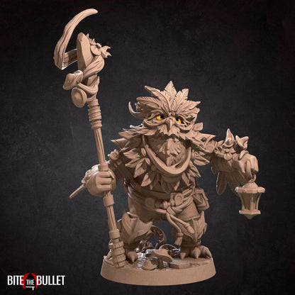 Owlfolk Druid, Owlin | TABLETOP SCALE | D&D TTRPG Miniature | Bite the Bullet | Unpainted, Unplated Resin 8k