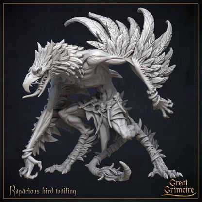 Rapacious Birds, Feathered Beasts | Curse of the Celestial Children | D&D Tabletop Miniature | Great Grimoire