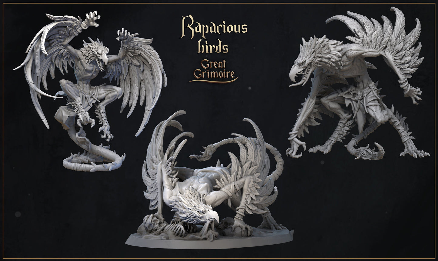 Rapacious Birds, Feathered Beasts | Curse of the Celestial Children | D&D Tabletop Miniature | Great Grimoire