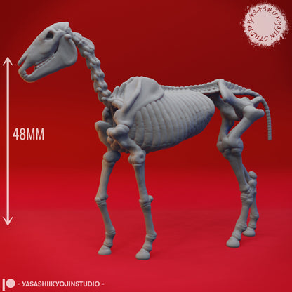 Skeleton Horse | TABLETOP SCALE | D&D TTRPG Monster Miniature | Yasashii Kyojin Studio