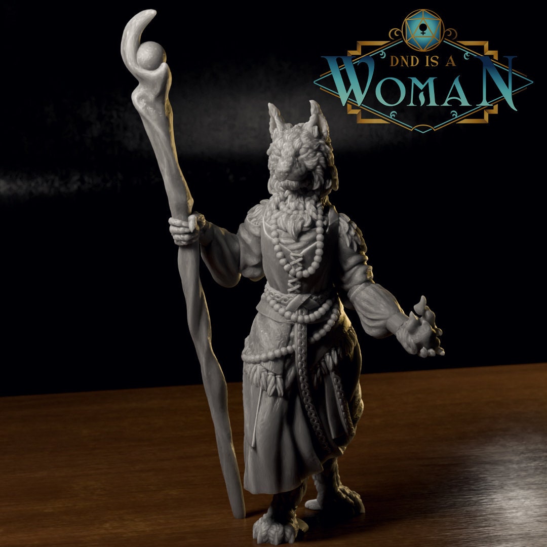 Tabaxi Sorcerer | D&D TTRPG Miniature | DnD Is A Woman | NO BASE