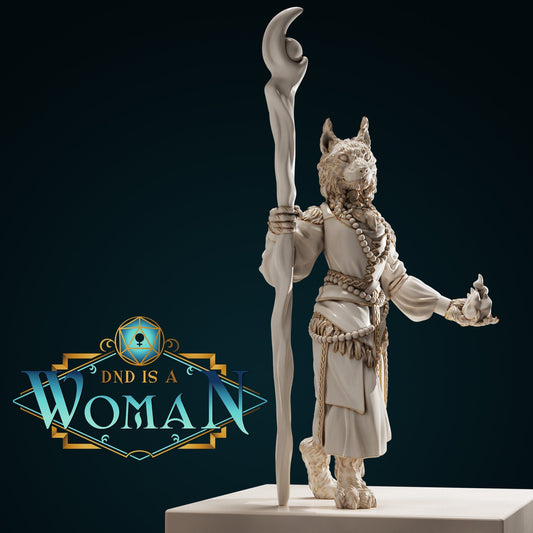 Tabaxi Sorcerer | D&D TTRPG Miniature | DnD Is A Woman | NO BASE