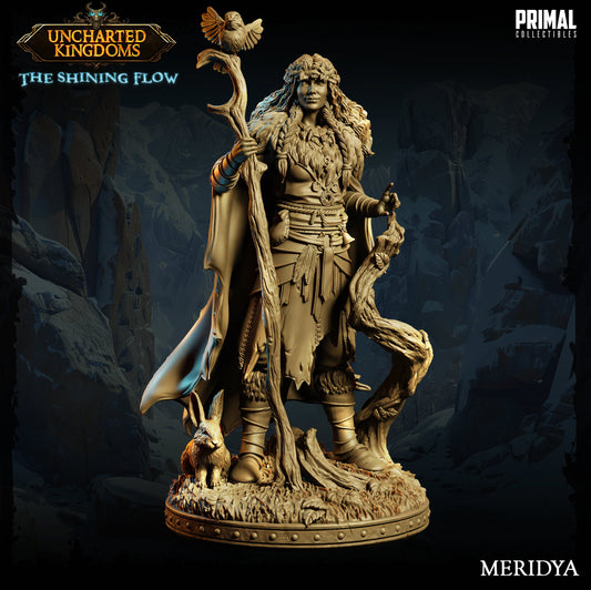Druid Meridya | Tabletop Scale | TTRPG D&D Miniature | Primal Collectibles