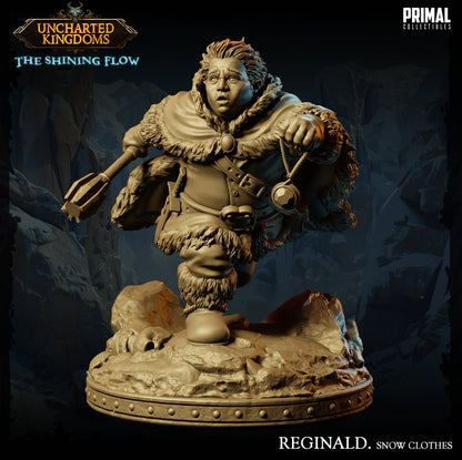 Halfling Rogue Reginald Snow Clothes | Uncharted Kingdoms | TTRPG D&D Miniature | Primal Collectibles