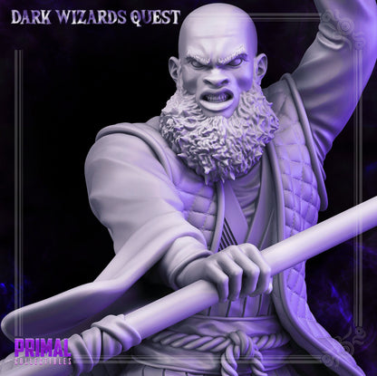 Rayzen Shaka | Dark Wizards Quest | TTRPG D&D Miniature | Primal Collectibles