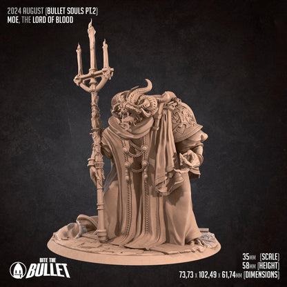 Bullet Dark Souls Blood Lord | TABLETOP SCALE | D&D TTRPG Miniature | Bite the Bullet