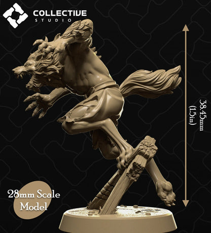 Arnou Werewolf | Tabletop Gaming Mini or Display Figure | Collective Studio