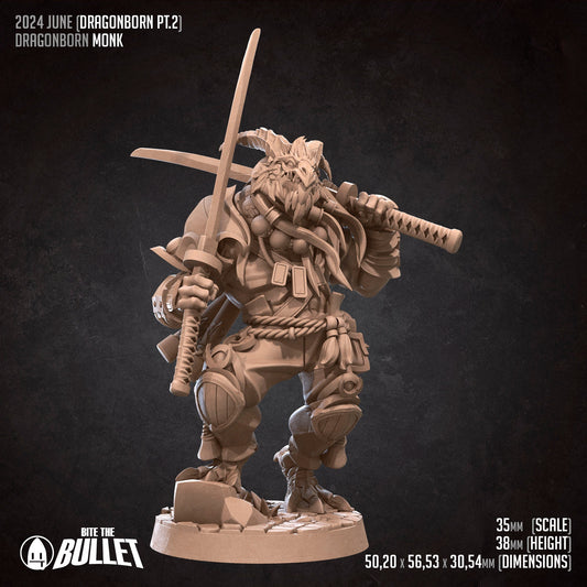 Dragonborn Monk | TABLETOP SCALE | TTRPG Miniature | Bite the Bullet | Unpainted, Unplated Resin 8k