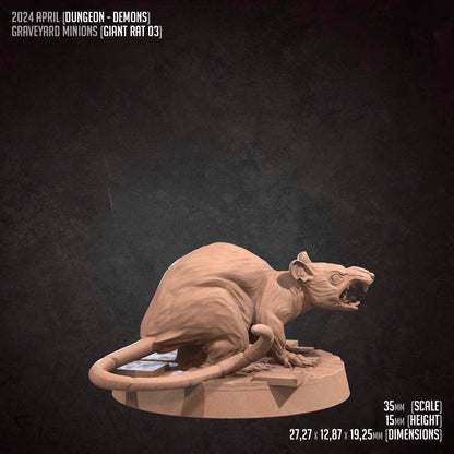 Giant Rats | TABLETOP SCALE | D&D TTRPG Miniature | Bite the Bullet