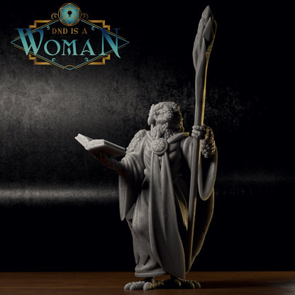 Aaracokra Wizard | D&D TTRPG Miniature | DnD Is A Woman | NO BASE