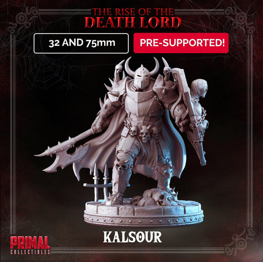 Dark Knight Kalsour | Tabletop Scale | TTRPG D&D Miniature | Primal Collectibles
